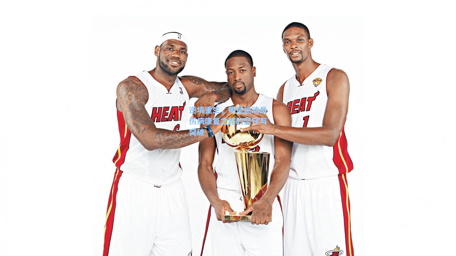 彩经网官网首页_逆境重生，明星运动员伤病康复之路的坚守与突破