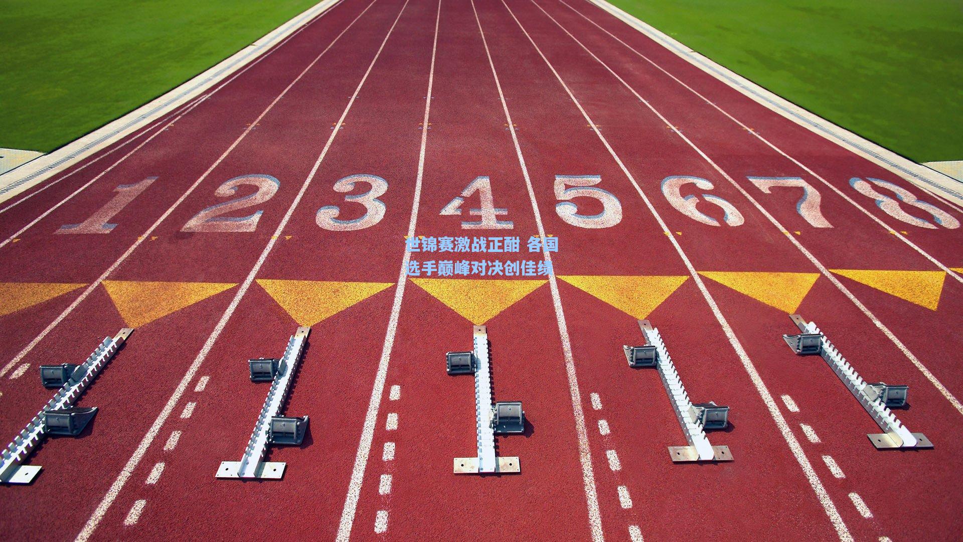 世锦赛激战正酣 各国选手巅峰对决创佳绩